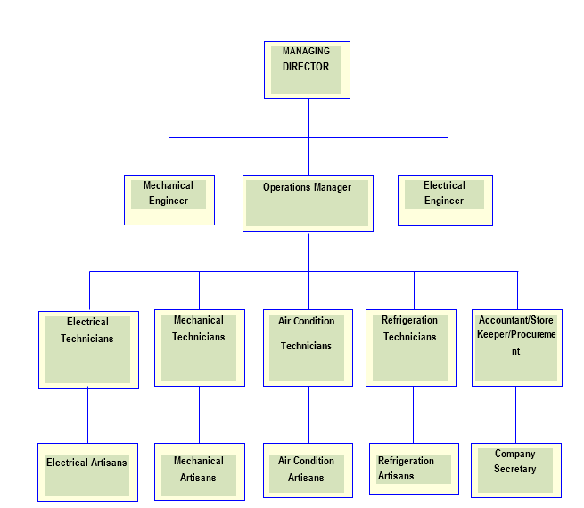 Our Organization Structure